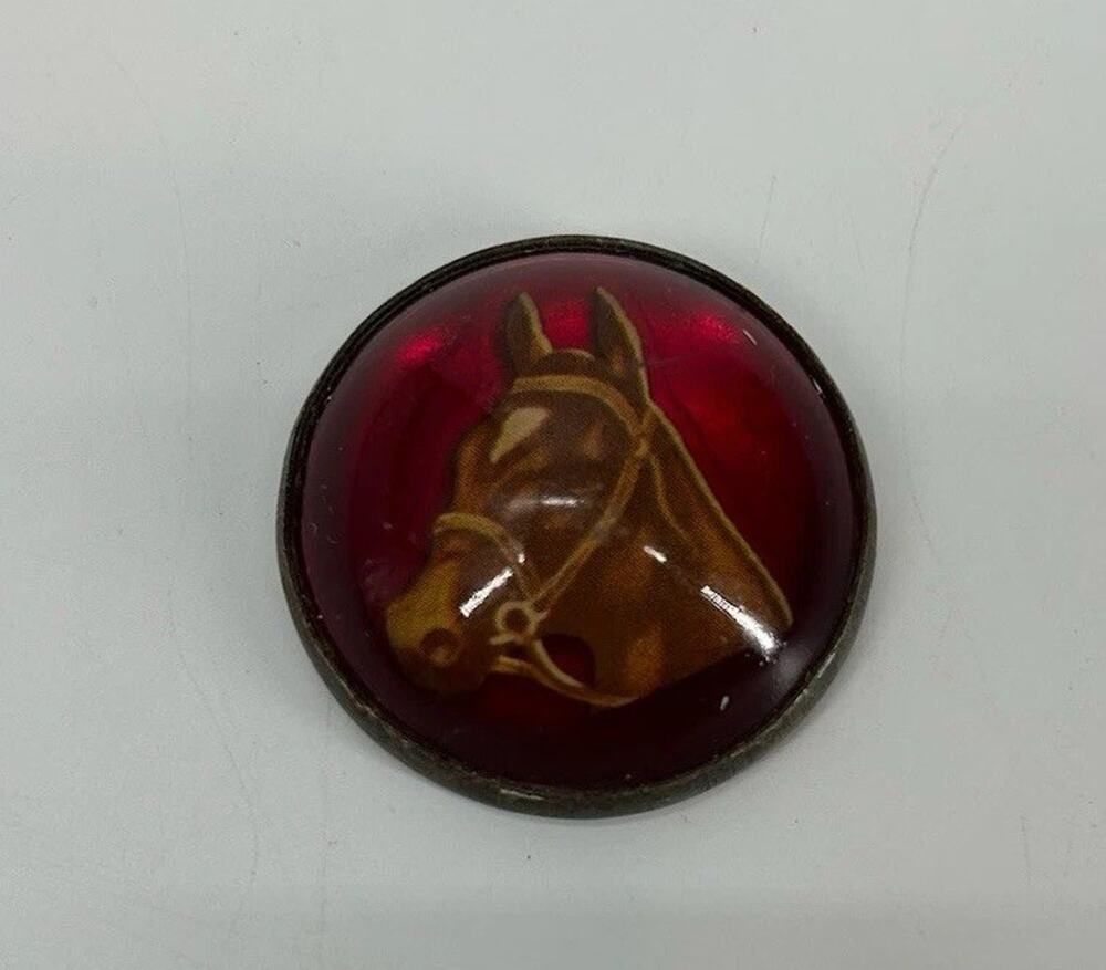 Rare Single Horse Head RED Background BRIDLE Rosette Chapman Tack READ